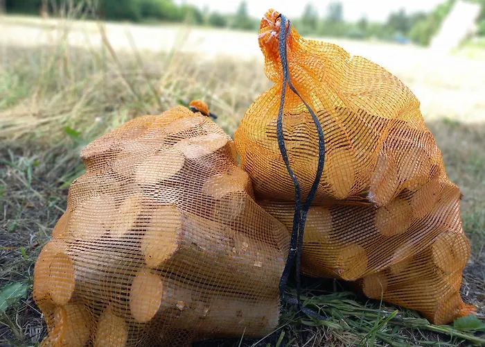 Brivdienu Majas Lejnieki